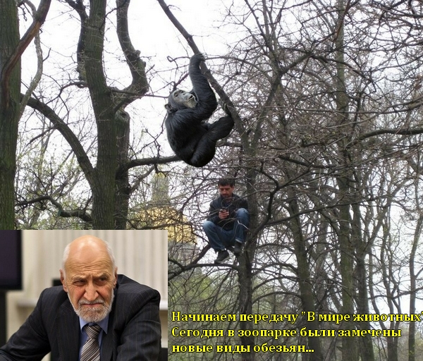 Гости города на празднике победы