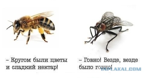 12 марта в Пахачах оттепель с влажным восточным ветром