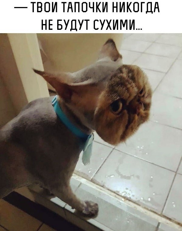 Так себе картинки 27.05.24