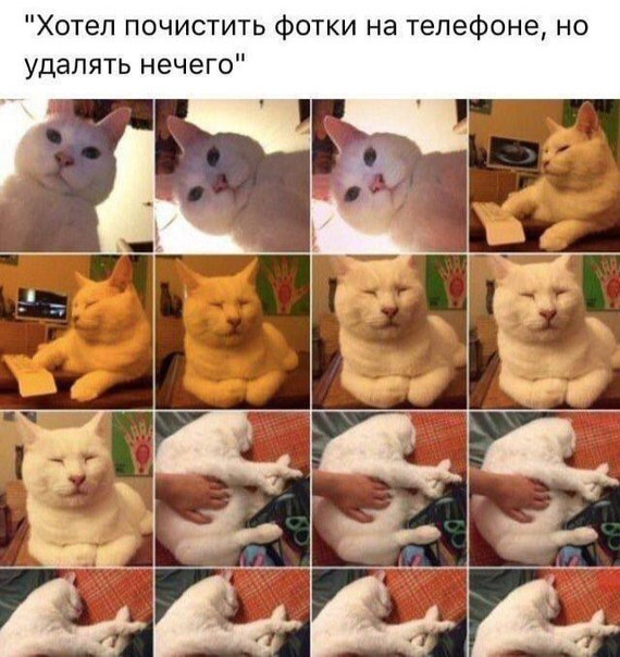 Всего понемногу. От 31.05.2024