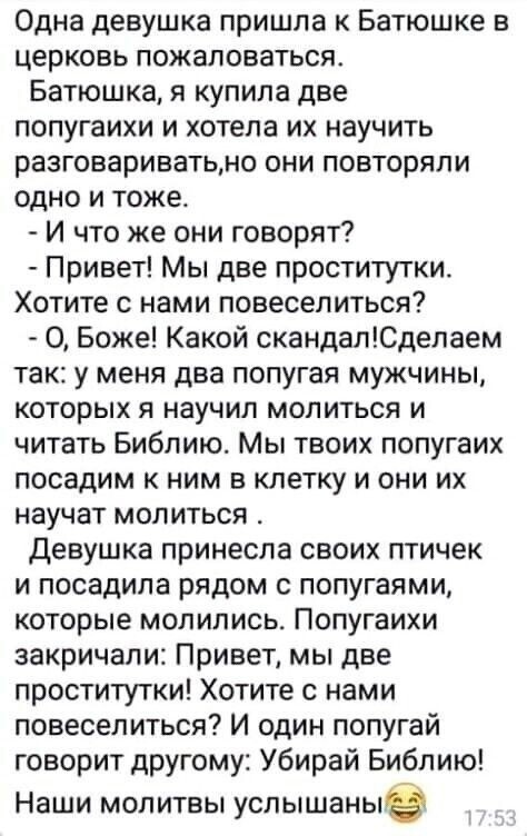 Так себе картинки 17.09.24