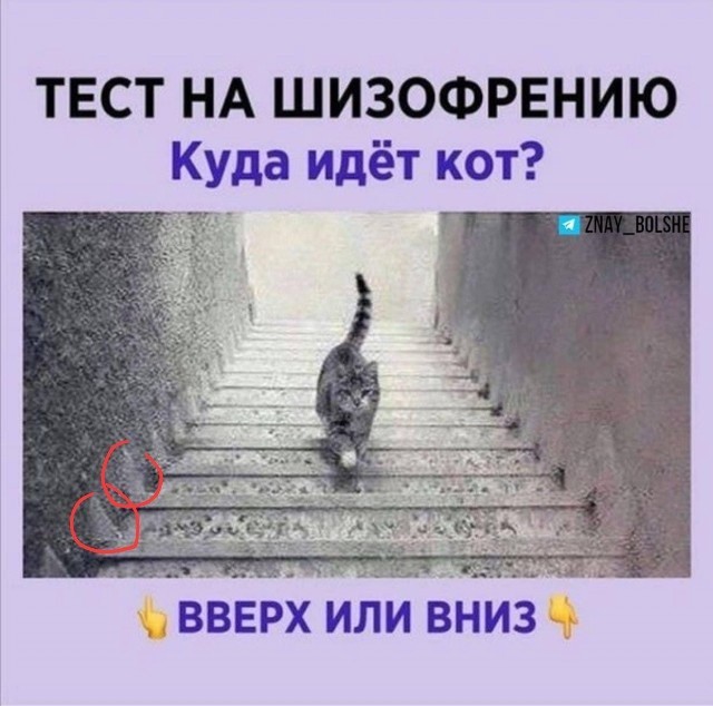 Так себе картинки 19.10.24