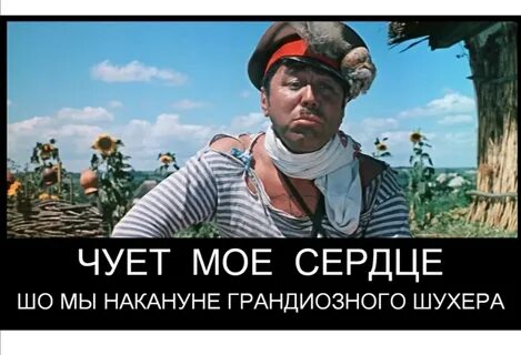 Конец толерастии?