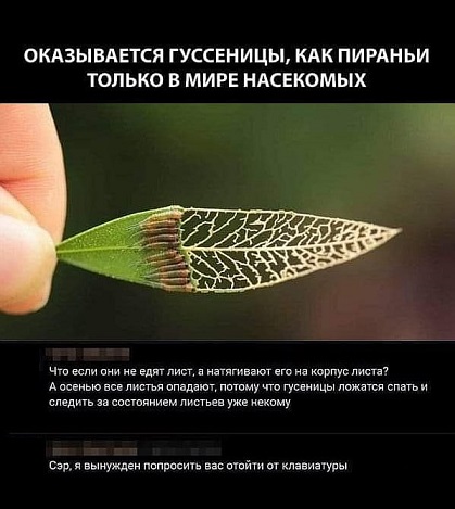 На первое время