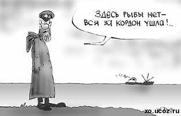 Россия стала мировым лидером по вывозу замороженной рыбы