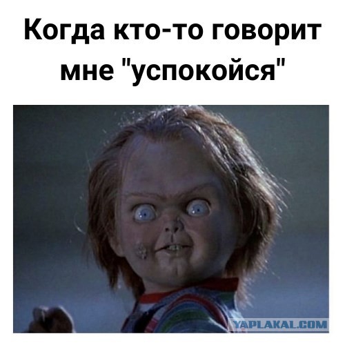 Веселые картинки в понедельник (23.12)