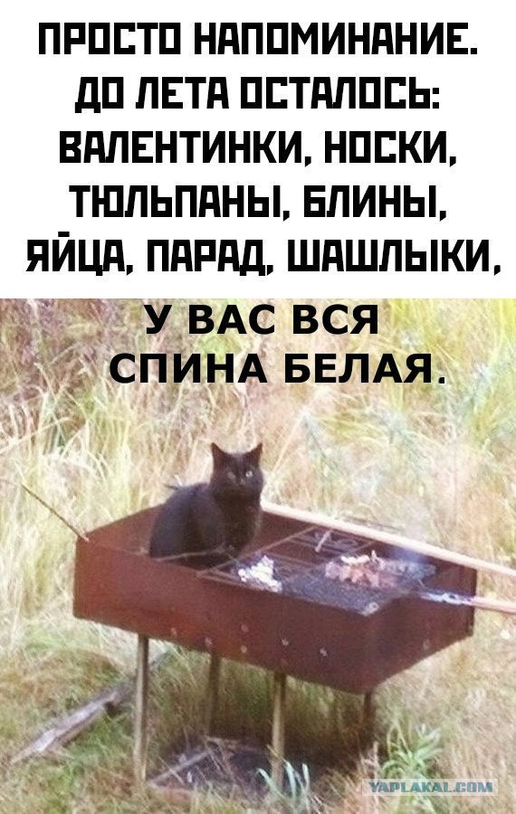 Веселые картинки в пятницу (07.02)