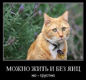 Посткастрационный синдром. Как я к нему пришел и как пережил