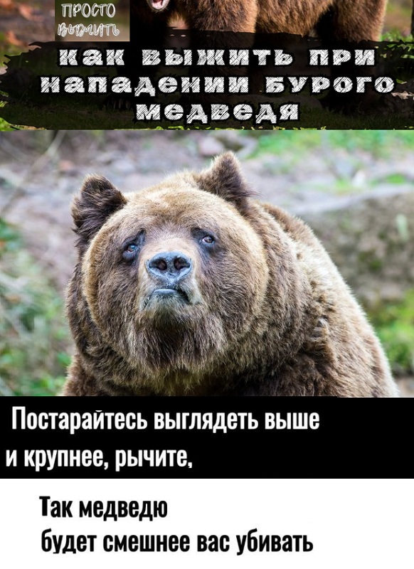 Пятница. картинки. 24 шт