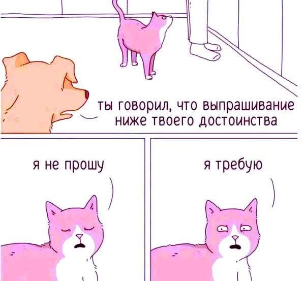 Картинки разные с надписями и без