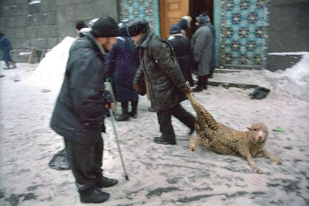 Баянистой пост