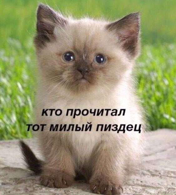 Веселое настроение в картинках 18.10.25