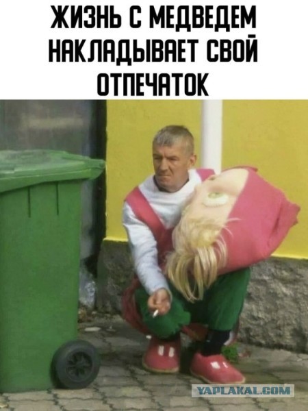 Так себе картинки 15.11.25