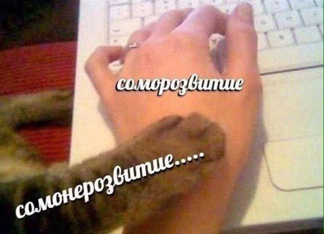Дегрономикон 5