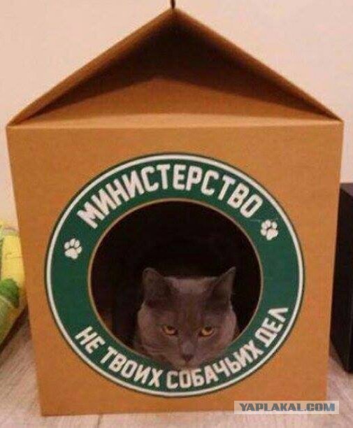 Картинки для деградации 101 (разной степени свежести)