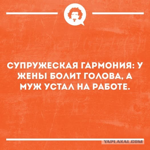 Картинки для деградации 103 (разной степени свежести)