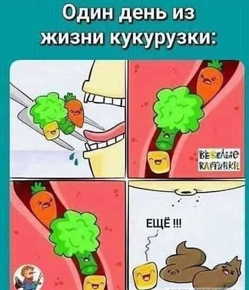 Кукурузный наркокот