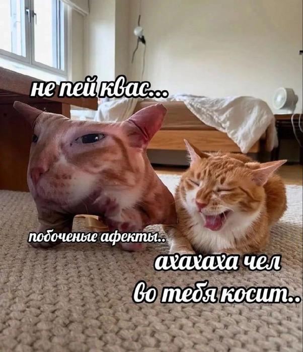Картинки для деградации 128 (разной степени свежести)