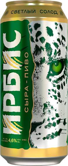 Наша кыся