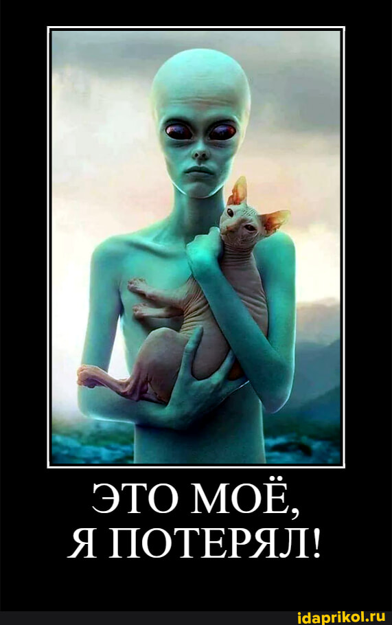 Цюдо–юдо