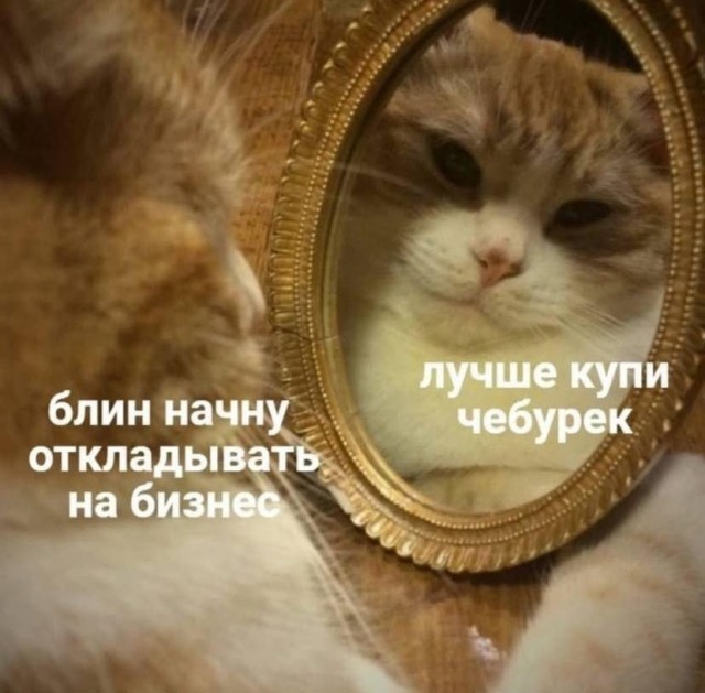 К котовторнику: подборка картинок-баянов с котиками и про котиков. Выпуск 32.