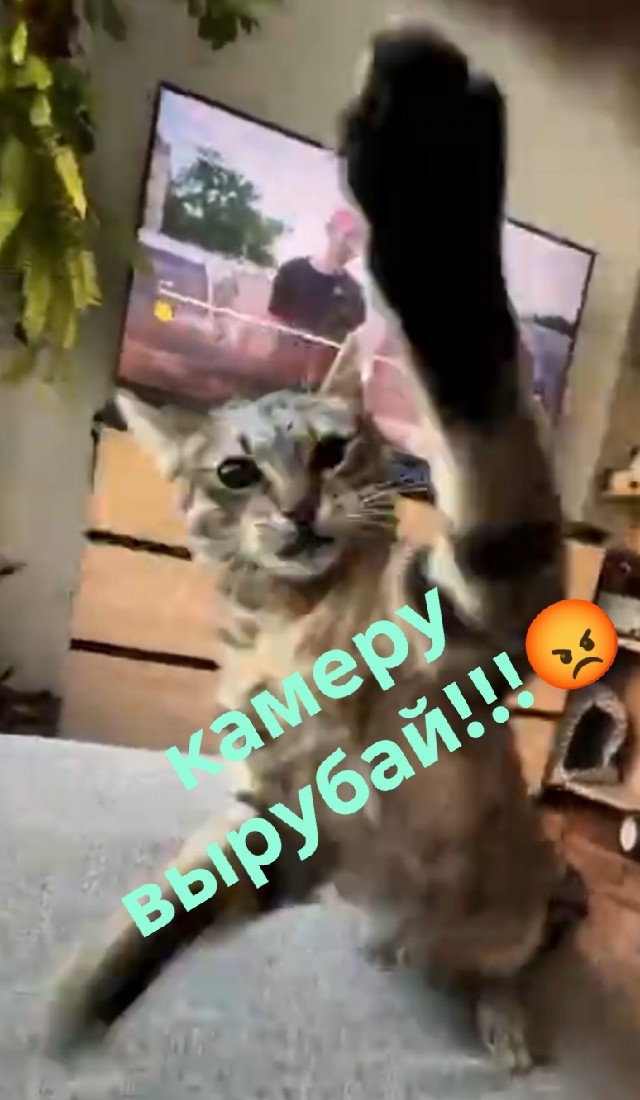 Злюка