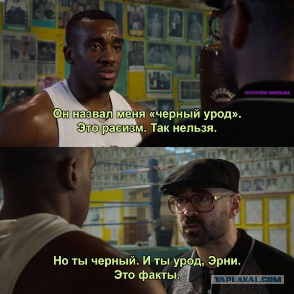 Социальная драма