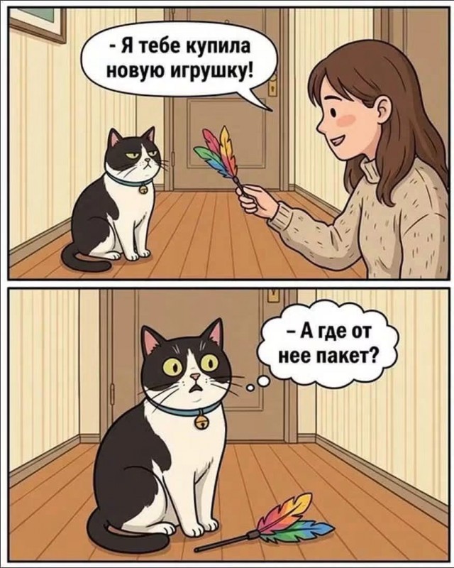 Картинки для деградации 276 (разной степени свежести)