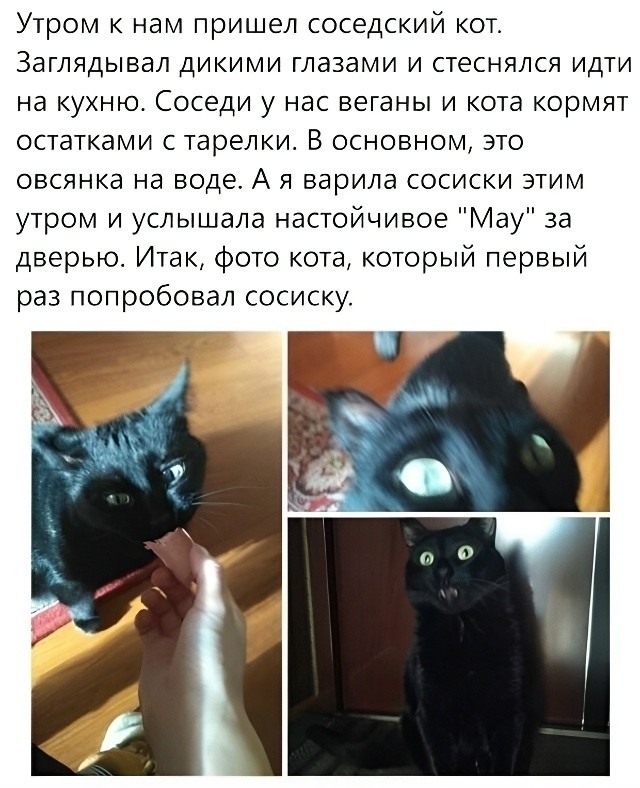 «К чёрту. Я хочу стейк» ©