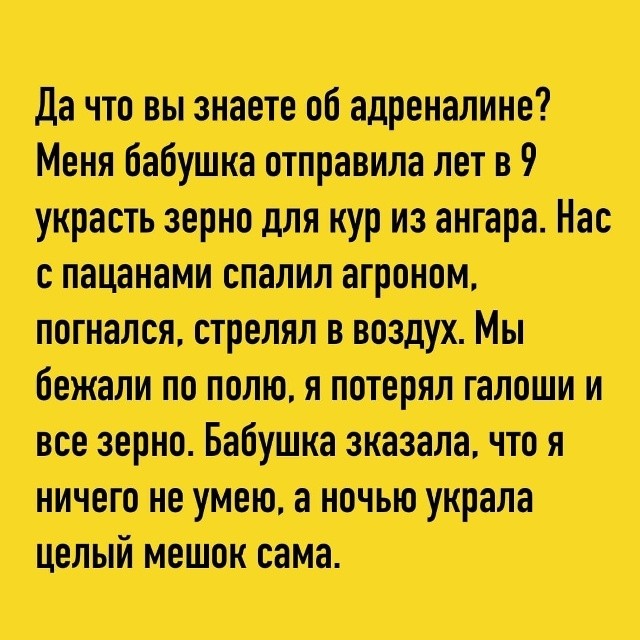 Так себе картинки 25.10.26