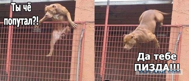 Неловкий момент
