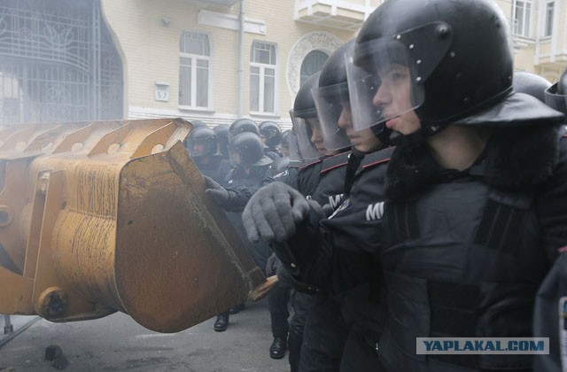 Беркут пошел на штурм