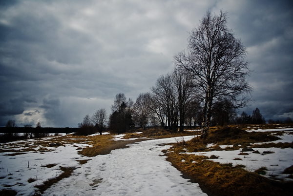 Скоро зима, товарищи !