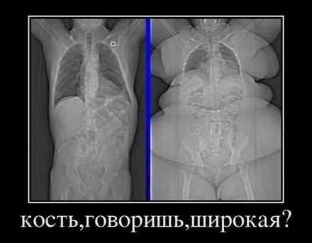 Толстый хомяк и щель под дверью