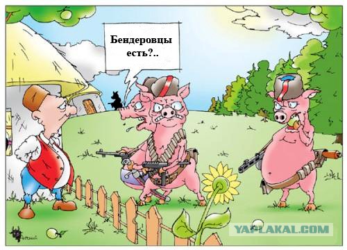 Во Львовской области неизвестные