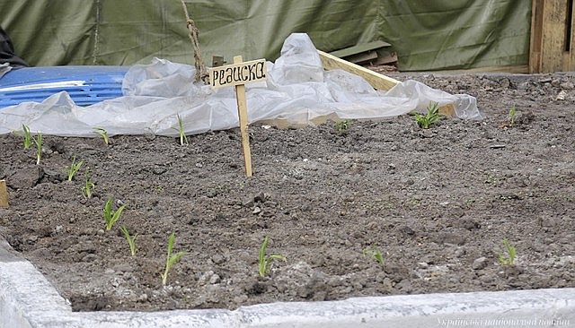 Украина подаёт в суд на Россию.