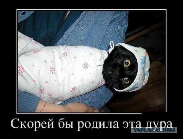 Подборка прикольных фото.