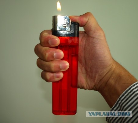 Твой лучший друг