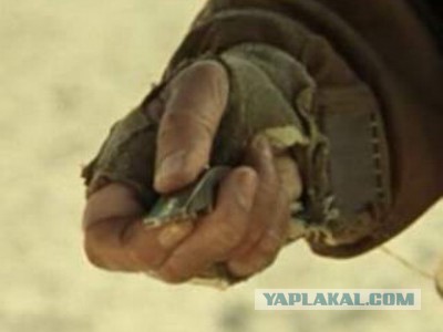 Тестер на вирус у кого еще нет ?