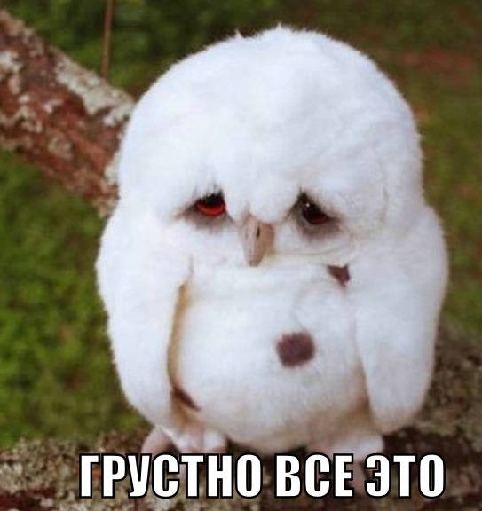 Чемпионат Мира  по хоккею 2015