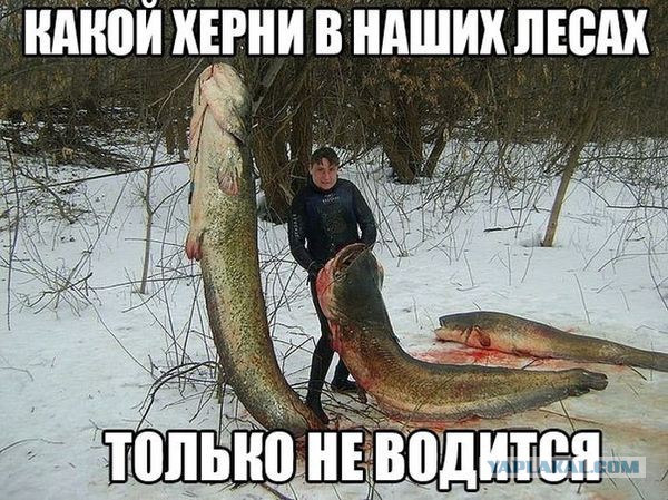 Смешные комментарии из ЯПлакалъ