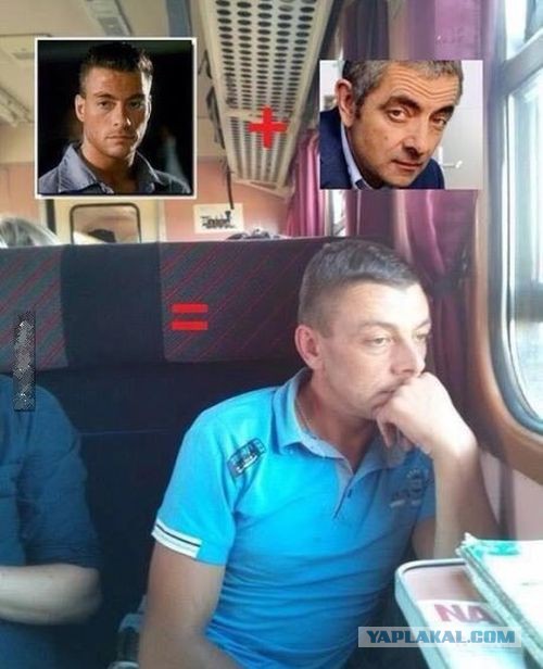 Забавные картинки из Сети