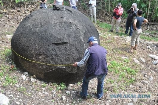 В каменном угле нашли рейку возрастом 300 млн. лет