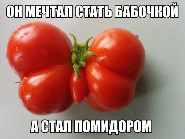 Сборник "баянов" со всего Интернета - 2