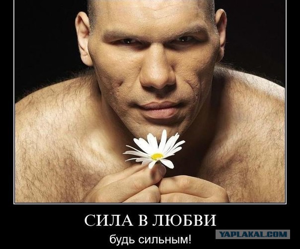 День богов ринга на Япе!