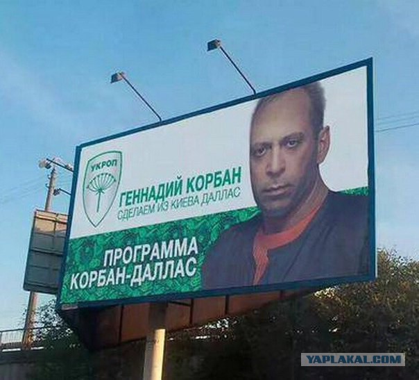 Подборка прикольных фото/картинок