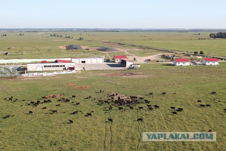 Самая большая ферма в мире