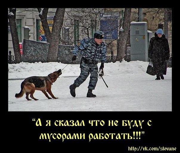 Приколы из сети