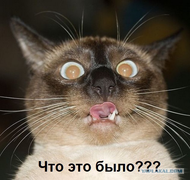 Наконец-то поймал свою девушку на измене