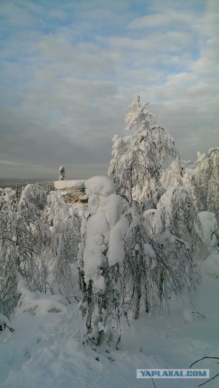 Зимняя сказка в Пермском крае (Россия,январь 2016)